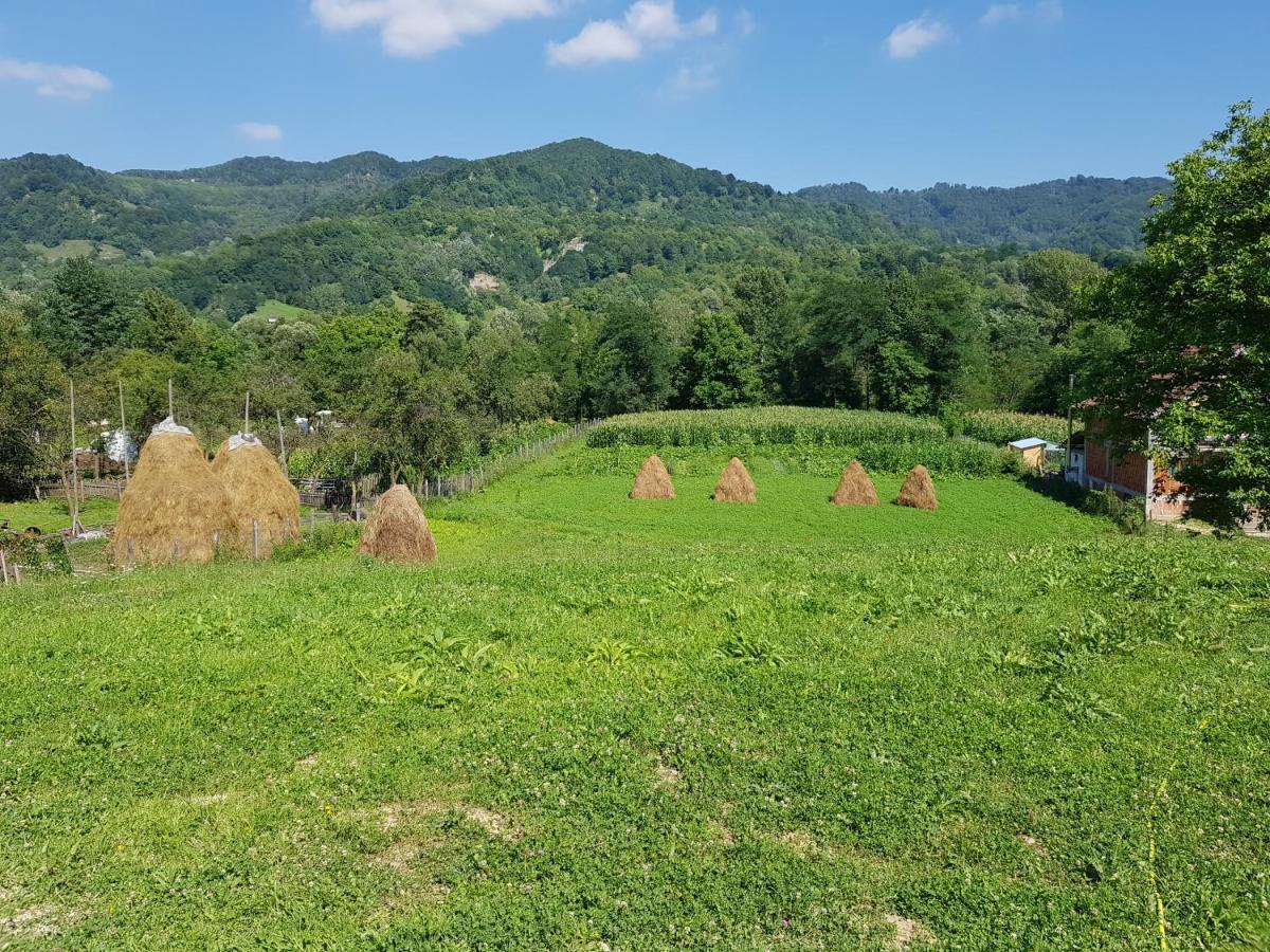 Heaven Guesthouse コルベニ エクステリア 写真